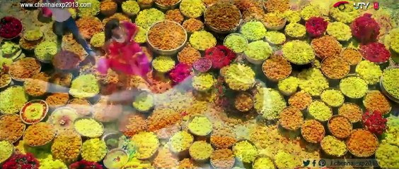 Titli Full Song Chennai Express 2013 Shahrukh Khan Deepika Padukone