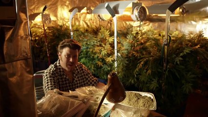 Trailer Park Boys - Two New Seasons Coming To Netflixs.