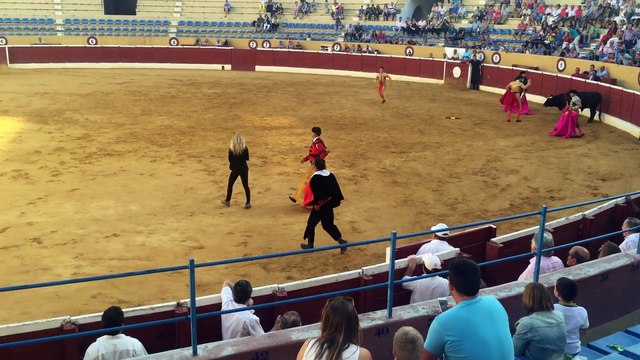 Une activiste de PETA saute dans l’arène pendant une corrida.