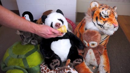 Chien camouflé en Panda mange un cône de glasse