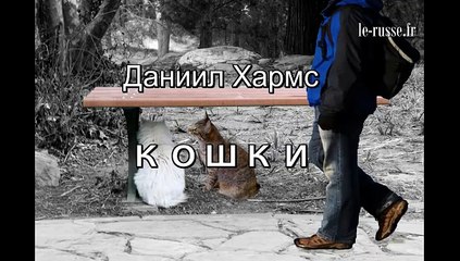 Кошки - Даниил Хармс - русская поэзия для детей - со словами