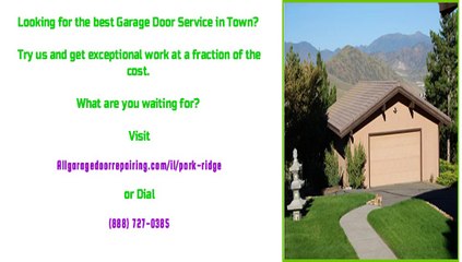 Licensed Garage Door Technicians in Park Ridge, IL