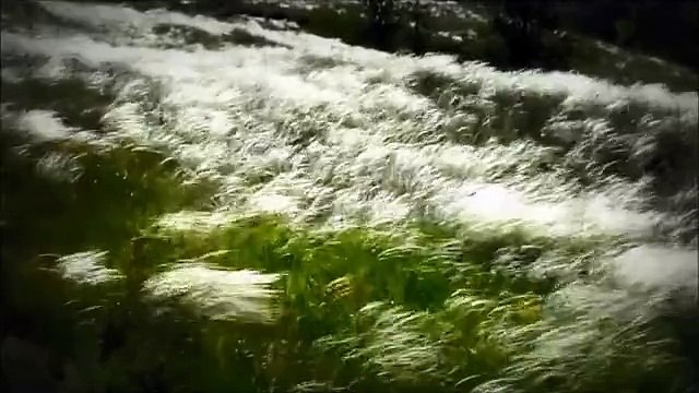 Борис Трофим Сердце тук тук тук