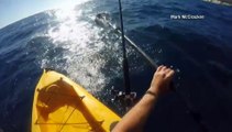 Un Pêcheur en Kayak attaqué par un Requin-Marteau très agressif