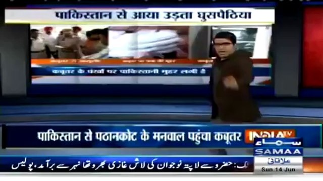 Pakistani spy pigeon funny indian parody - Video Dailymotion