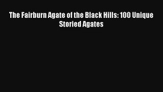 The Fairburn Agate of the Black Hills: 100 Unique Storied Agates Read PDF Free
