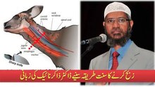 Zakir Naik Sharing Islamic Way of Slaughtering Animals