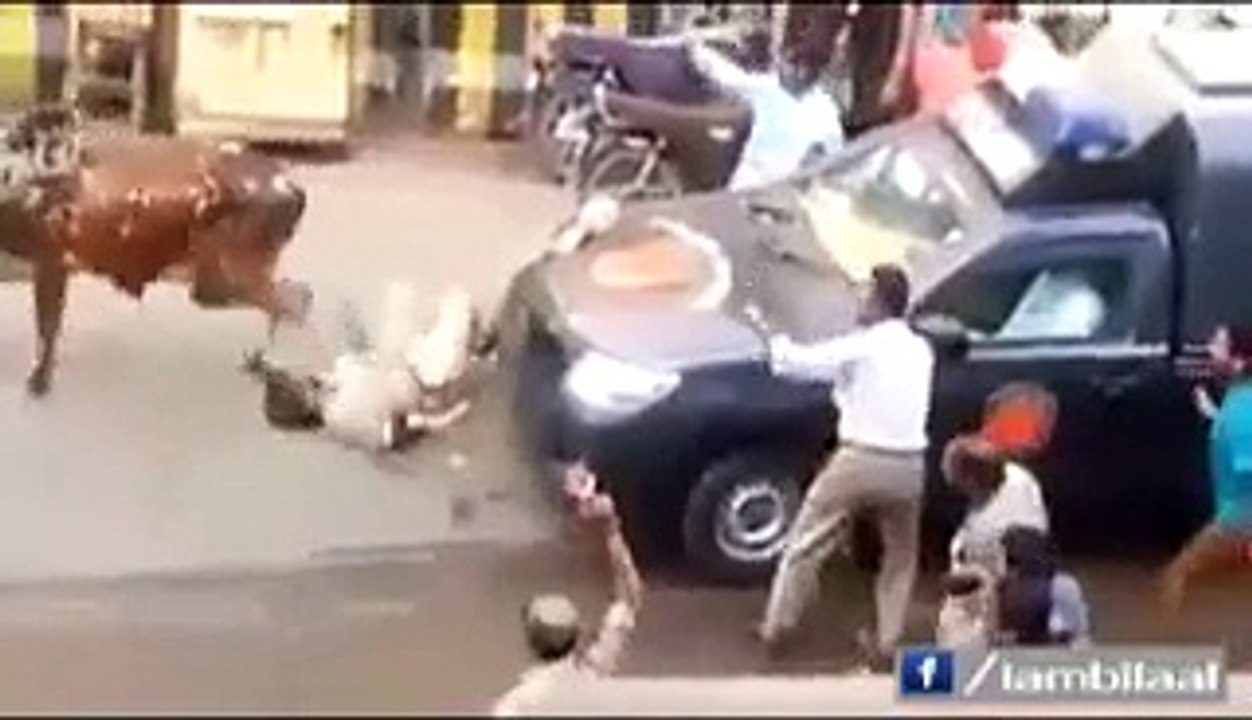 Cow almost killed a man in karachi