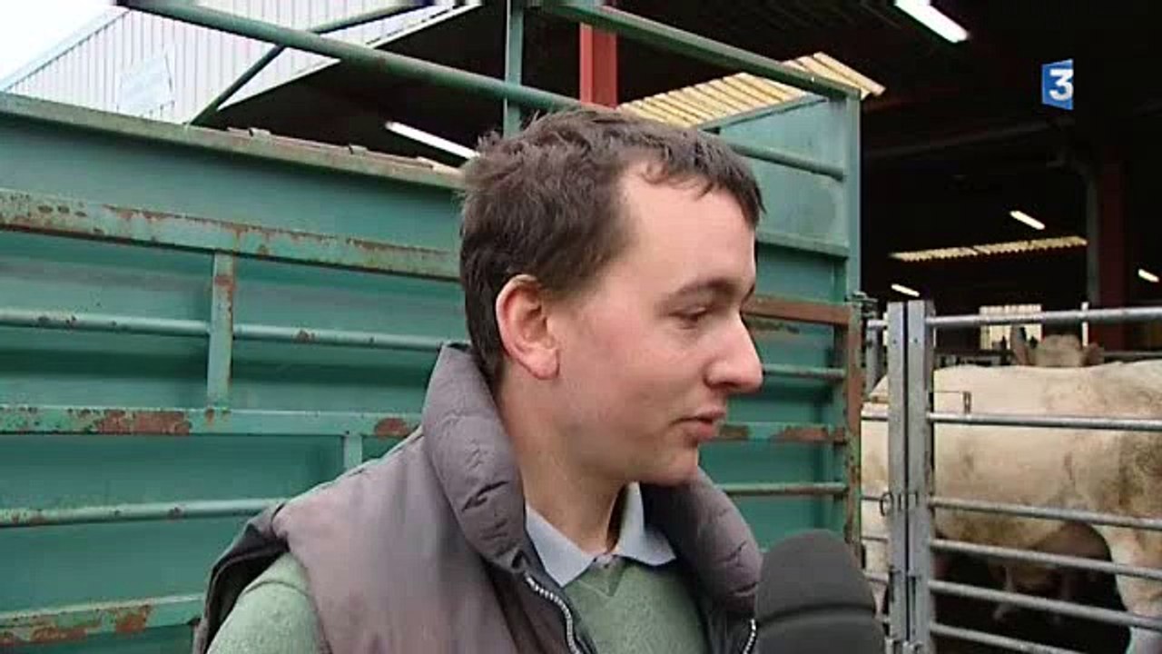 Nièvre : le marché au cadran de Moulins-Engilbert tourne au ralenti