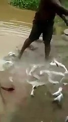 Yok Böyle Balık Tutma Yöntemi