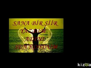 Sokak Şairi - Adına Şiirler Yazdım (2015)