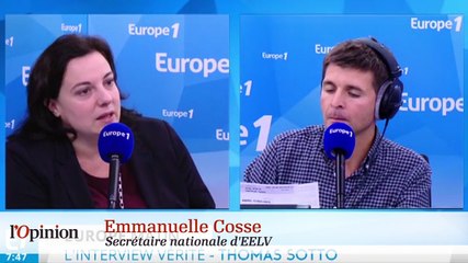 VWgate : le message des écolos brouillé par leurs divisions