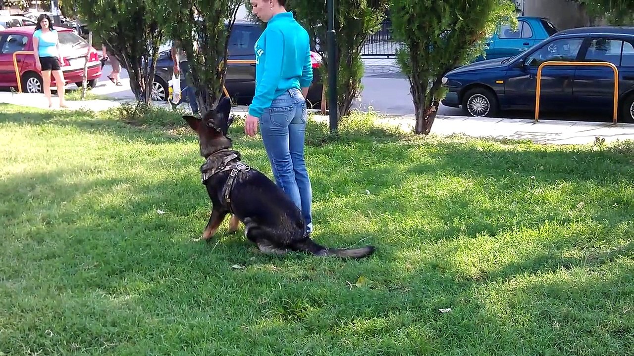 Aphrodite and Zeus 23/9/2015 Zeus 9 month