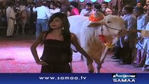 Lahore Main Qurbani Ke Janwar Ke Sath Models Ki Cat Walk