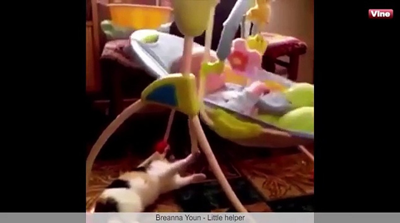 티비플 6초 웃긴동영상 ! 웃기는 동영상 ! #49