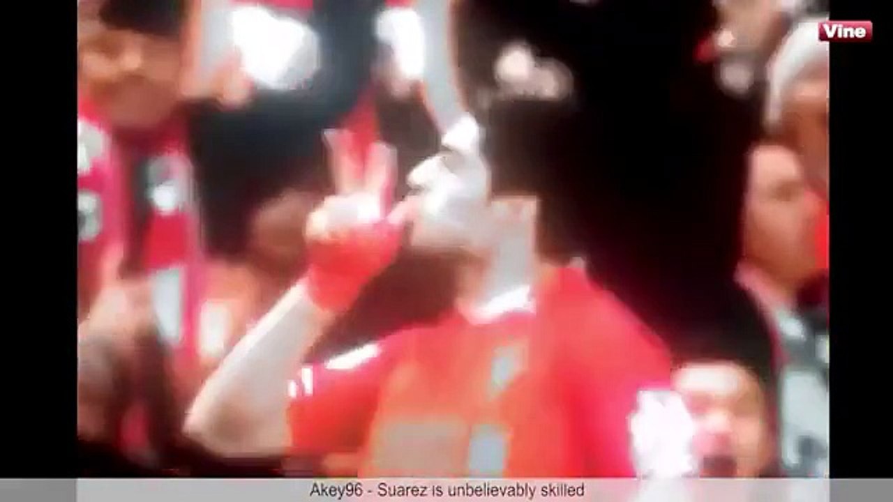 티비플 6초 웃긴동영상 ! 웃기는 동영상 ! #57