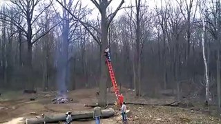 How not to cut down a tree