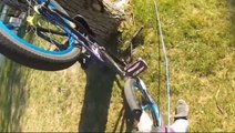Passing cyclist with amazing climbing skills rescues kittens from tree