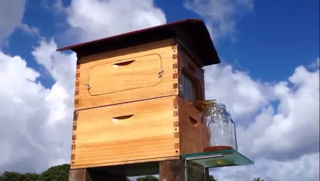 New Invention - Flow: Honey on Tap Directly From your Beehive