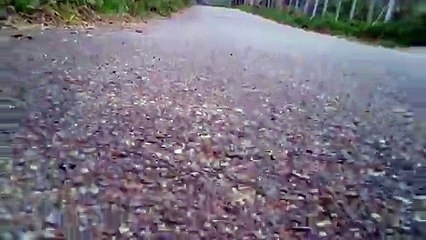 Cicismo rural em Taubaté, SP, Brasil, Trilhas nas estradas vicinais