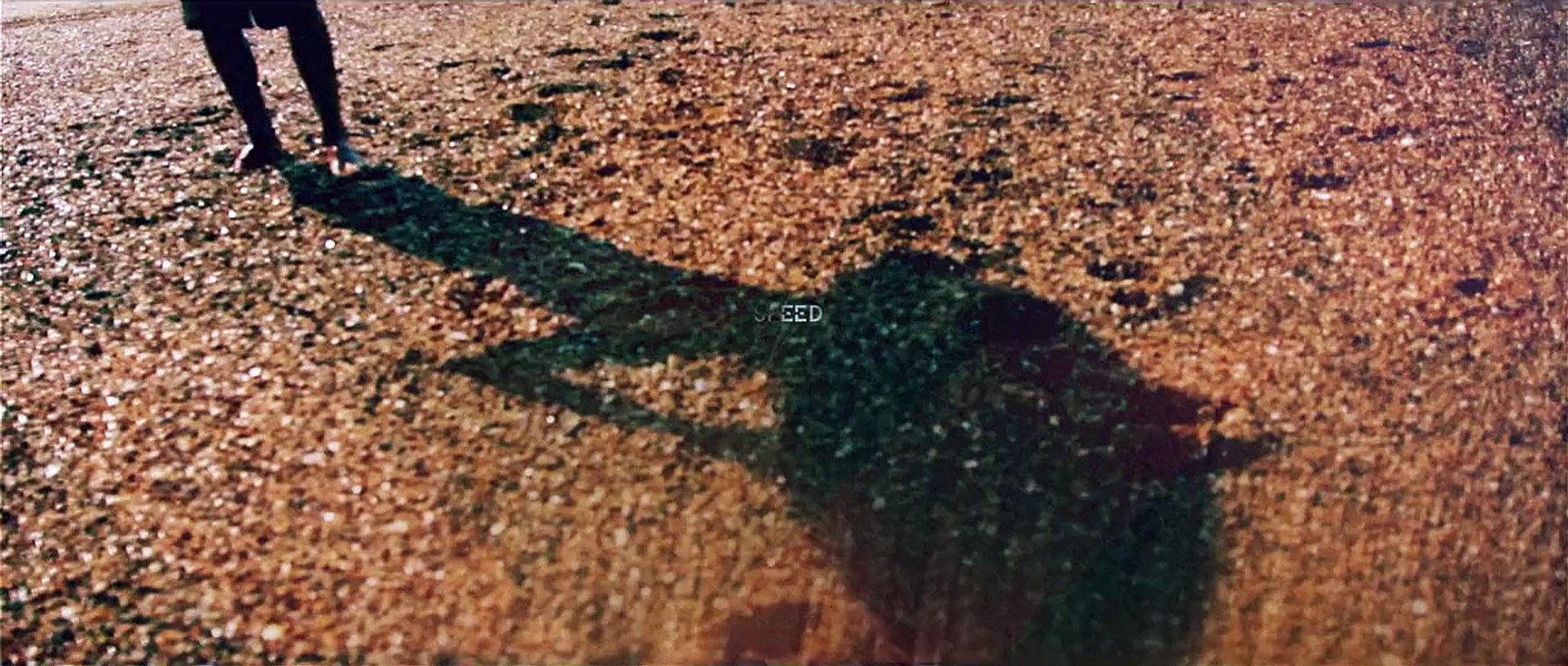 Grosses sessions skimboard entre Hossegor et Capbreton