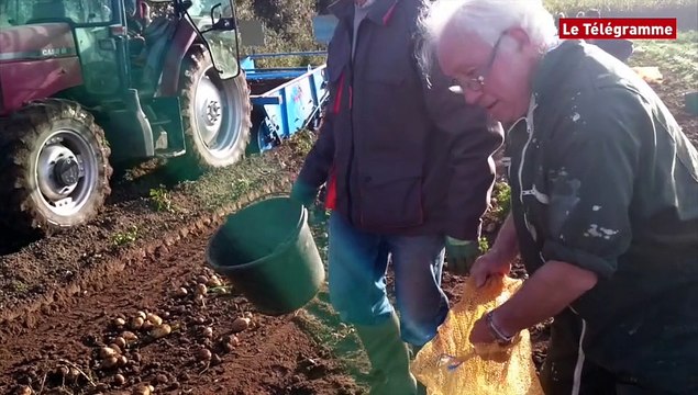 Plomeur (29). Ramassage solidaire pour les Restos du coeur