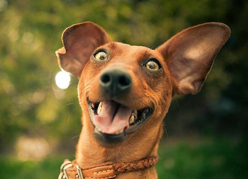 Прикол ! смеялась до слез !!! Prank ! FANNY VIDEO 2015