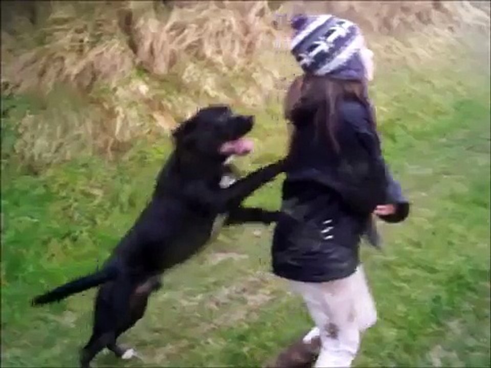 chien tres inpulsif prouve son amour pour mes neveux a sa facon