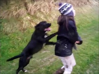 chien tres inpulsif prouve son amour pour mes neveux a sa facon