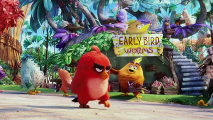 Angry Birds, la película - Teaser trailer español (HD)