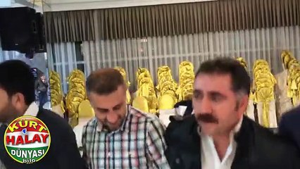 MUŞLULARIN MUHTEŞŞEM KOÇERÎ HALAYLARI