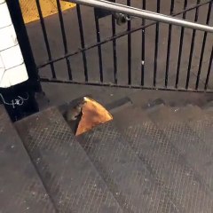 Funny Video New York City rat taking pizza home on the subway