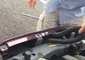 Red-Bellied Black Snake Pops Up From Car Engine