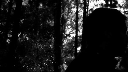 a Jigsaw - Crow Covered Tree [Official Video]