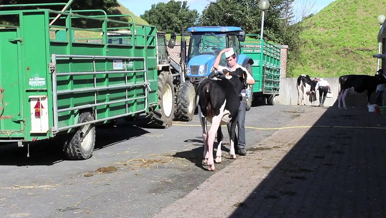 Fête du Lait 2015 Le Quesnoy
