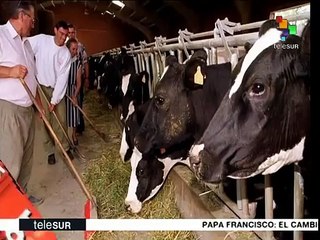 España: ganaderos rechazan acuerdo lácteo, no solventa crisis