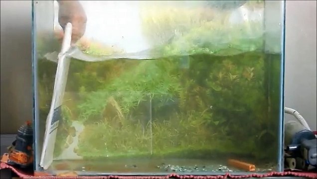 Generating waves using a flap !!