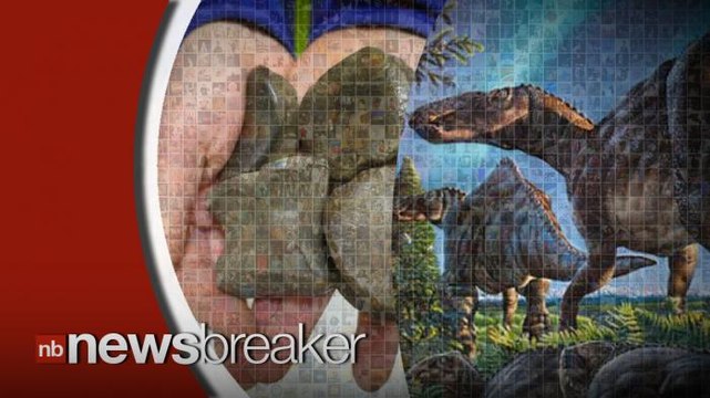 Fossils of New Plant-Eating Dinosaur Species Found in Alaska