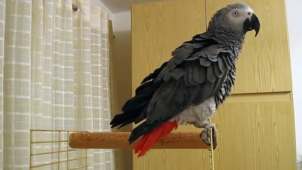 героям слава