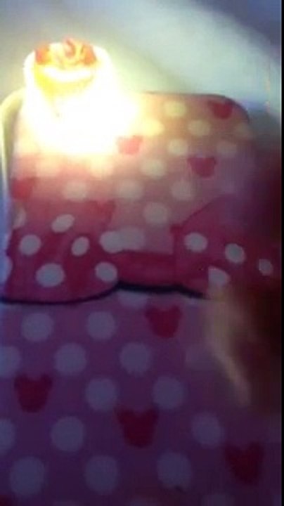 Glowing shopkins!?!?!?