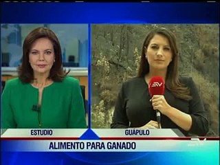 Afectados por incendio reciben ayuda