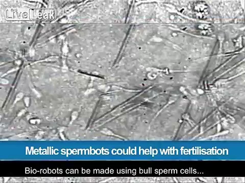 LiveLeak.com - SpermBot to Help with Fertilization