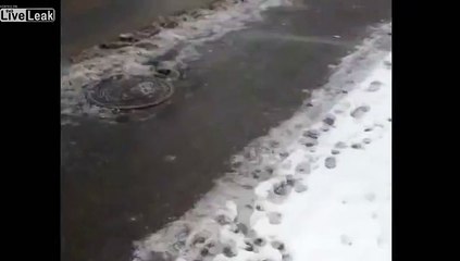 LiveLeak.com - Only kids can climb trees