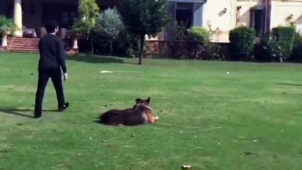 Imran Khan is Playing Cricket With Reham Khan & Sharo