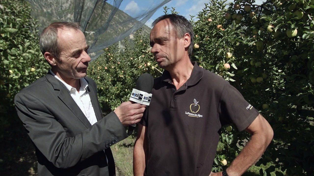 Alpes du Sud : C'est prouvé, les Alpes du Sud touchés de plein fouet par la confusion sexuelle