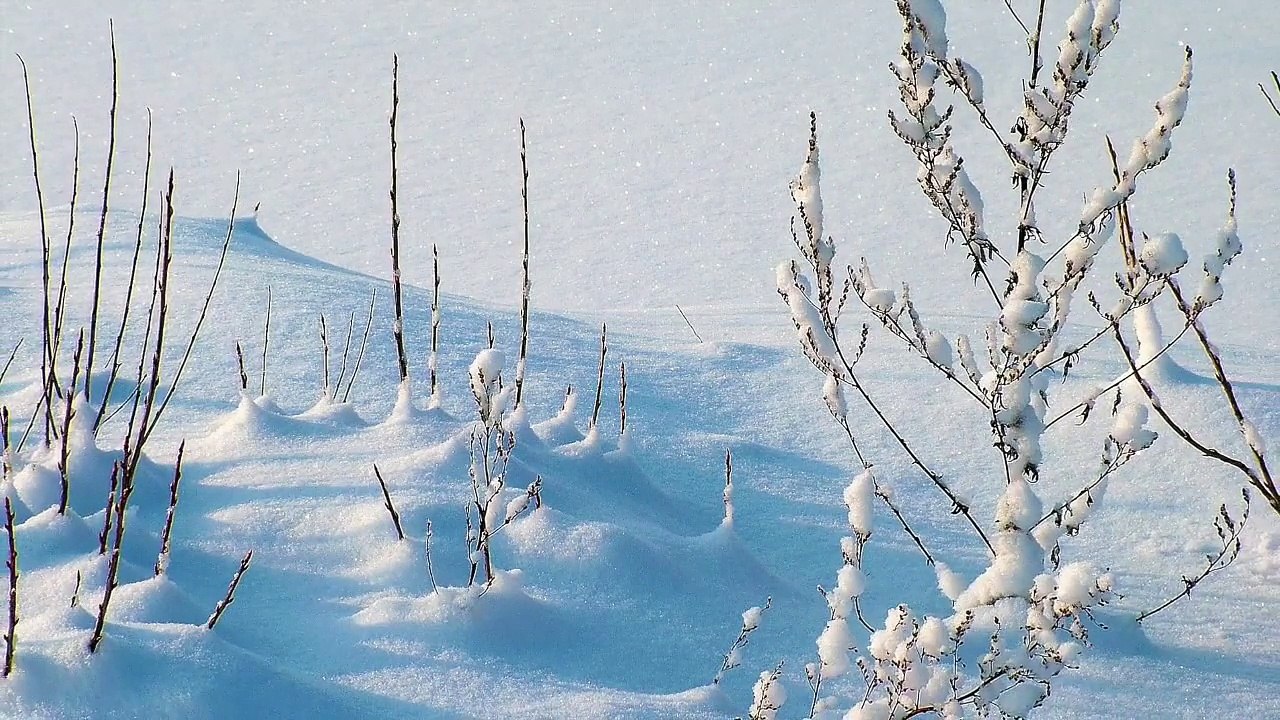 Winter Snow
