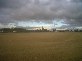 Bentoche -Dames pipi (privatisées)