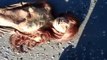 Real Or Fake- - Dead Mermaid Found Washed Up In Florida! - Video Dailymotion