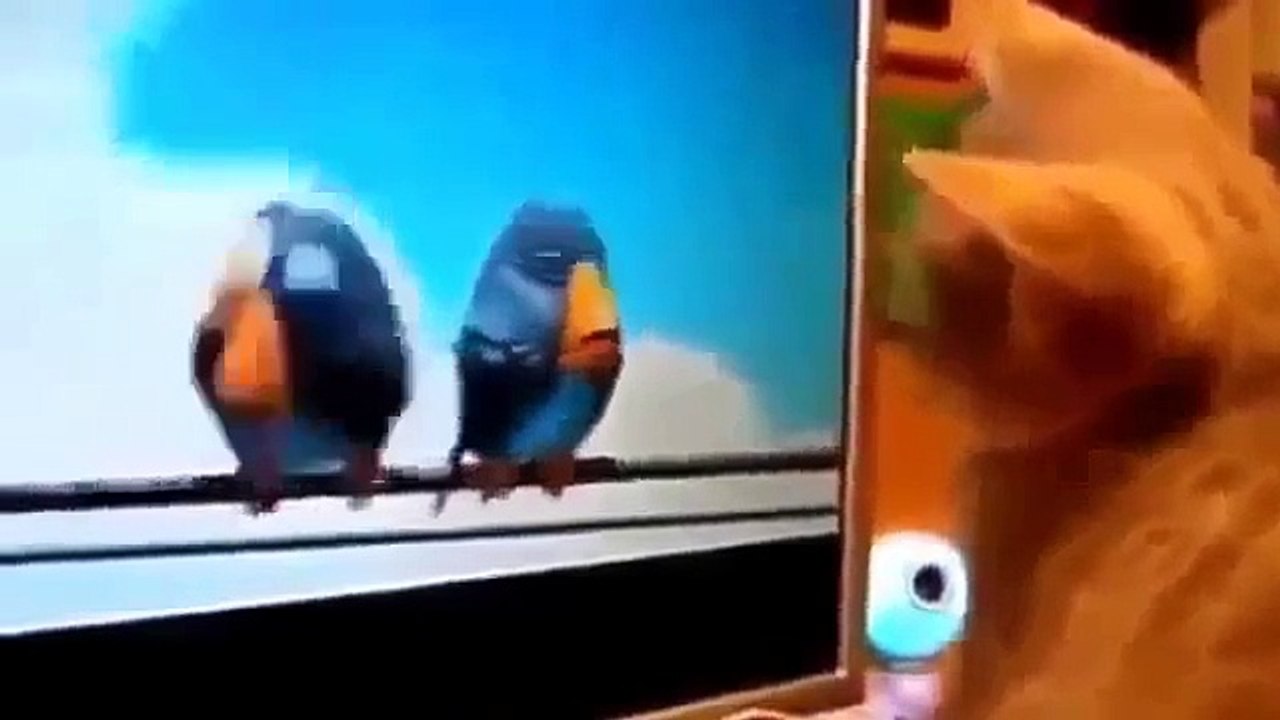 essaye de ne pas rire video drole marrante compilation 2015 HD