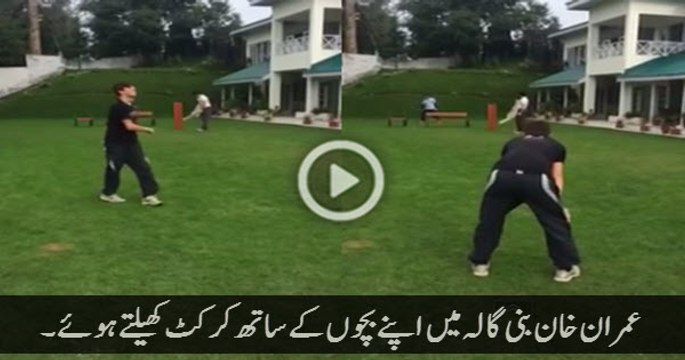 Arif Nizami's allegations are baseless- Imran Khan Plays Cricket with Reham Khan And His Family at Bani Gaala [ 9-23-2015] Latest Video